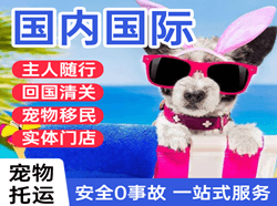 三明沙县机场空运国际宠物托运 【国